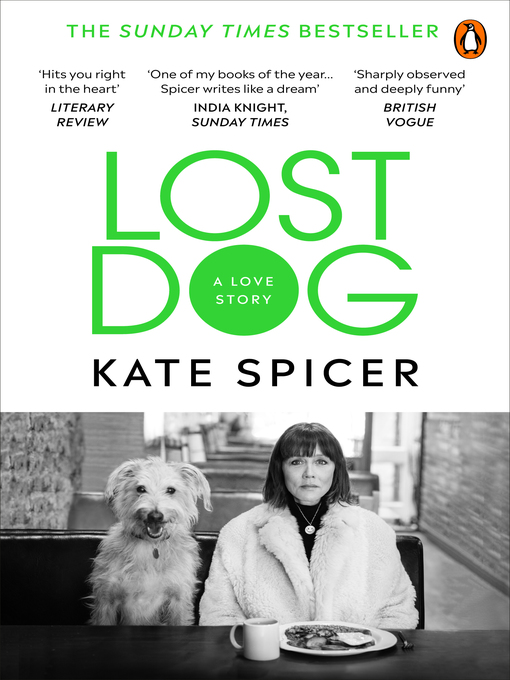 Cover image for Lost Dog